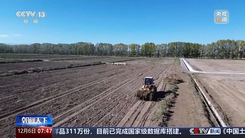 采集样品311万份第三次全国土壤普查完成国家级数据库搭建(图2)