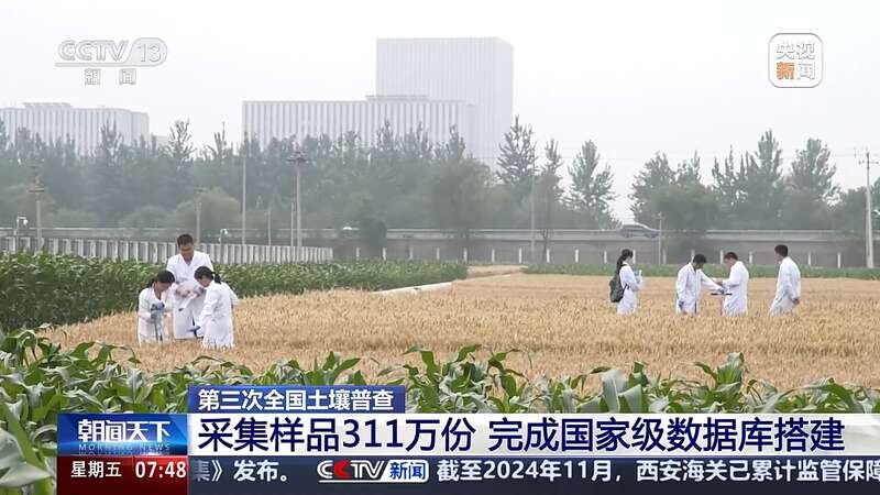 采集样品311万份第三次全国土壤普查完成国家级数据库搭建(图3)