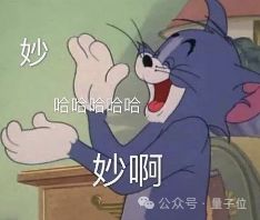 DeepSeek冲击之下大模型六小强如何「回应」？(图9)