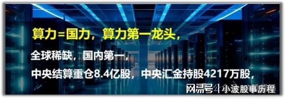 惊爆！算力第一龙头全球罕有国内称霸央资重仓超8亿股(图3)