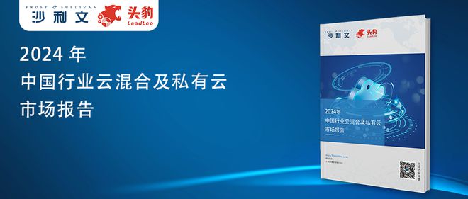 沙利文联合头豹发布《2024年中国行业云混合及私有云市场报告(图8)