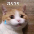 云计算的定义是什么(图3)
