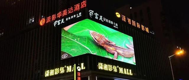 2025年上半年LED显示经典案例见证洲明、飞利浦、奥拓、联建等书写的行业新篇章(图8)