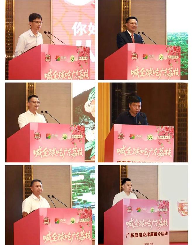 广东搭建「荔枝产销」对接平台喊全球吃荔枝！(图3)