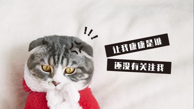 重磅利好！英伟达减少云计算业务CPO要大地震了？(图2)