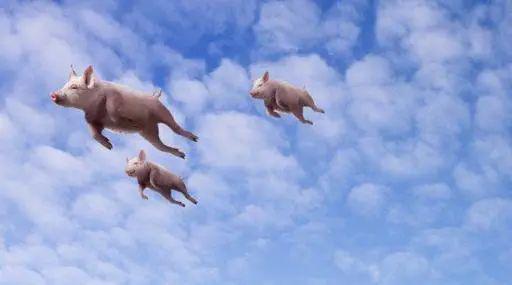 不是吓唬你新闻你快看不懂了(图3)