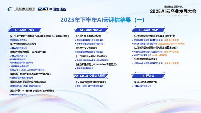2025AI云产业发展大会召开AI云十要素发布(图5)